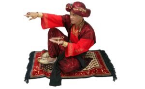 Aladdin MagiÃ«r